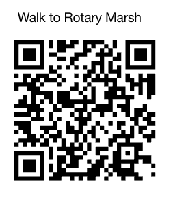 Walk to Rotary Marsh Park in Kelowna. An original watercolour by Courtenay Pitcher.