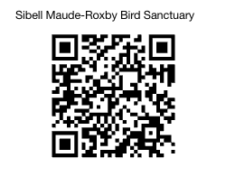 Sibell Maude-Roxby Bird Sanctuary in Kelowna, BC Canada. Original watercolour by Courtenay Pitcher of Kelowna, BC.