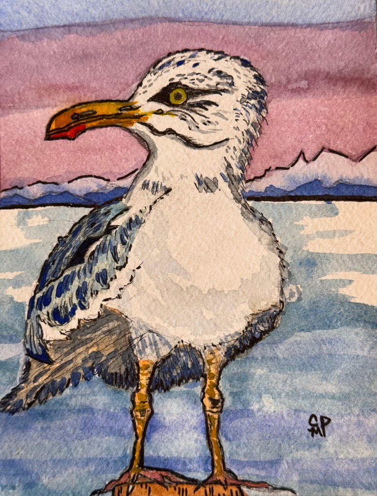Seagull watercolour by Courtenay Pitcher of Kelowna, BC